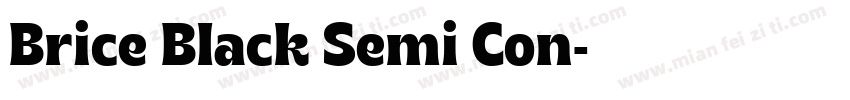 Brice Black Semi Con字体转换